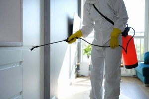 What to Expect from a Professional Pest Control Service Visit